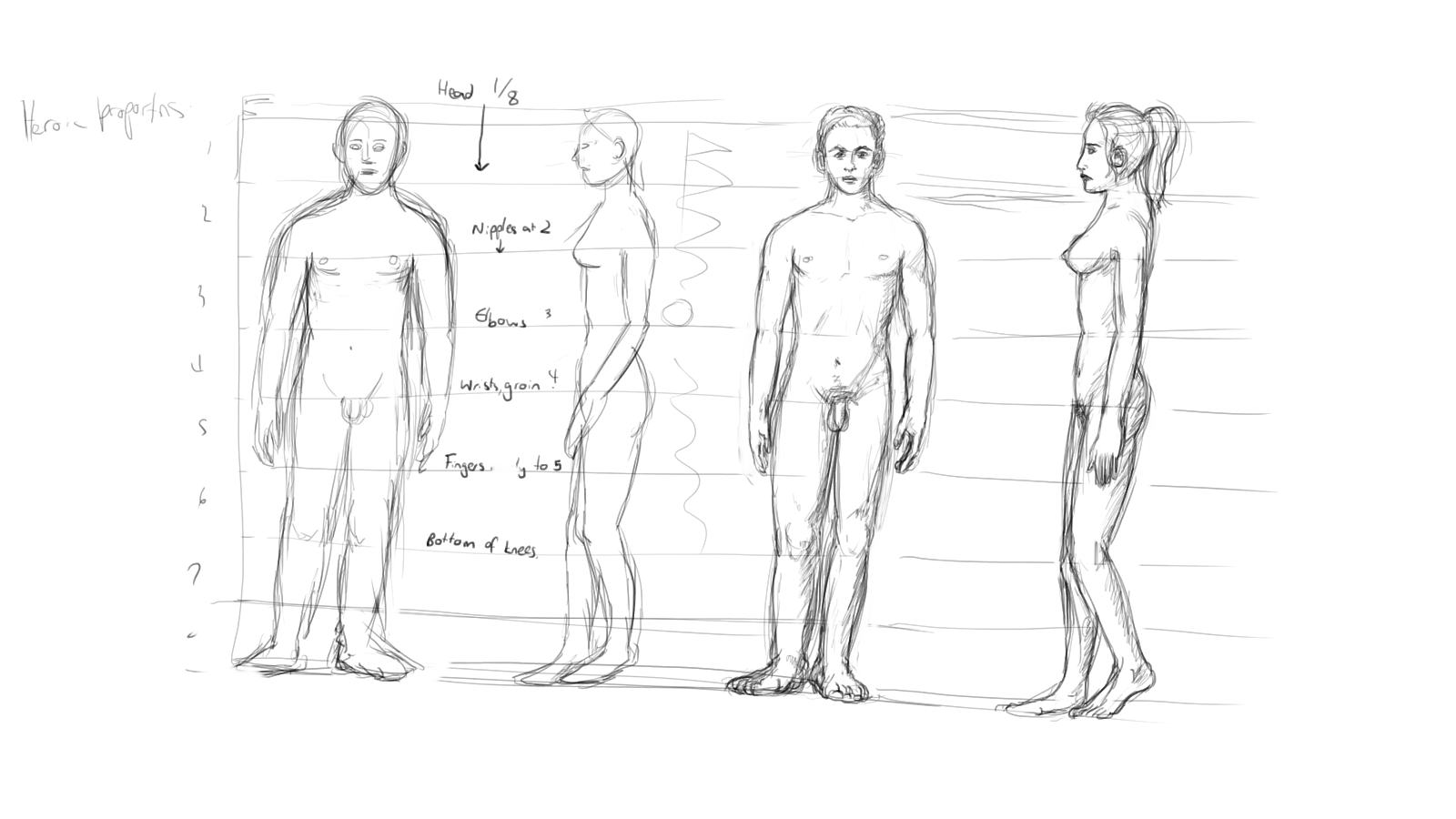 proportion sketches